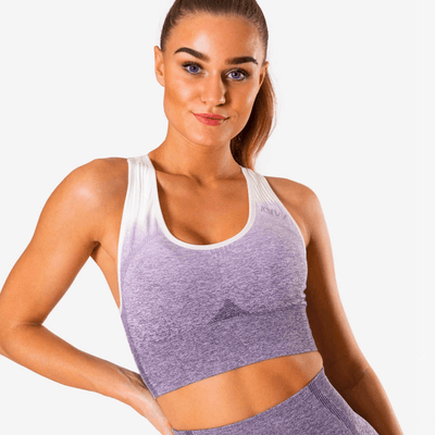 ICIW Ombre Seamless Sports Bra Purple - MuscleHouse.dk