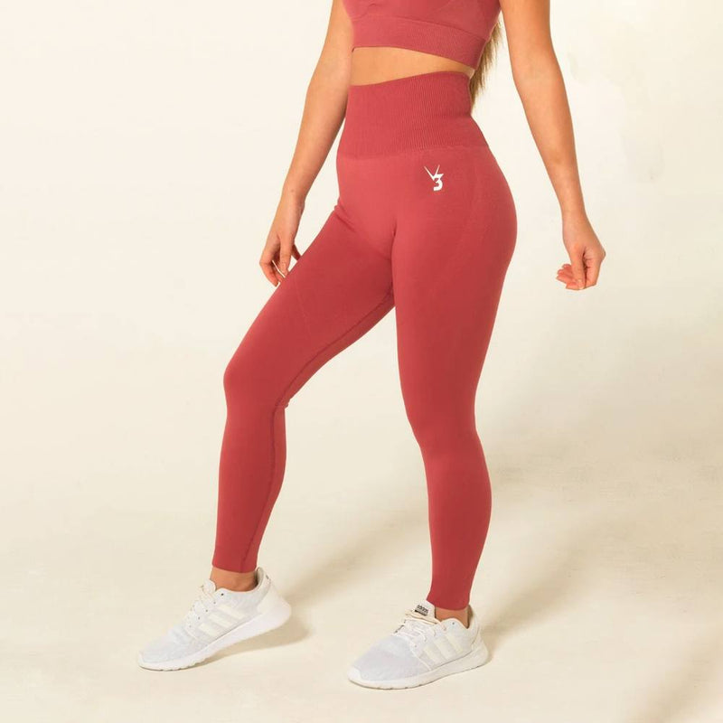 V3 Apparel Curve Seamless Leggings - Rose